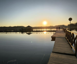 Zimna majówka w Lesznie. Możliwe przymrozki