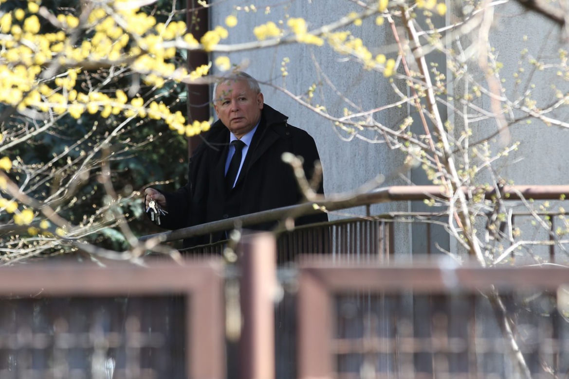  Tak Kaczyński woła kota 