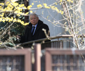  Tak Kaczyński woła kota 