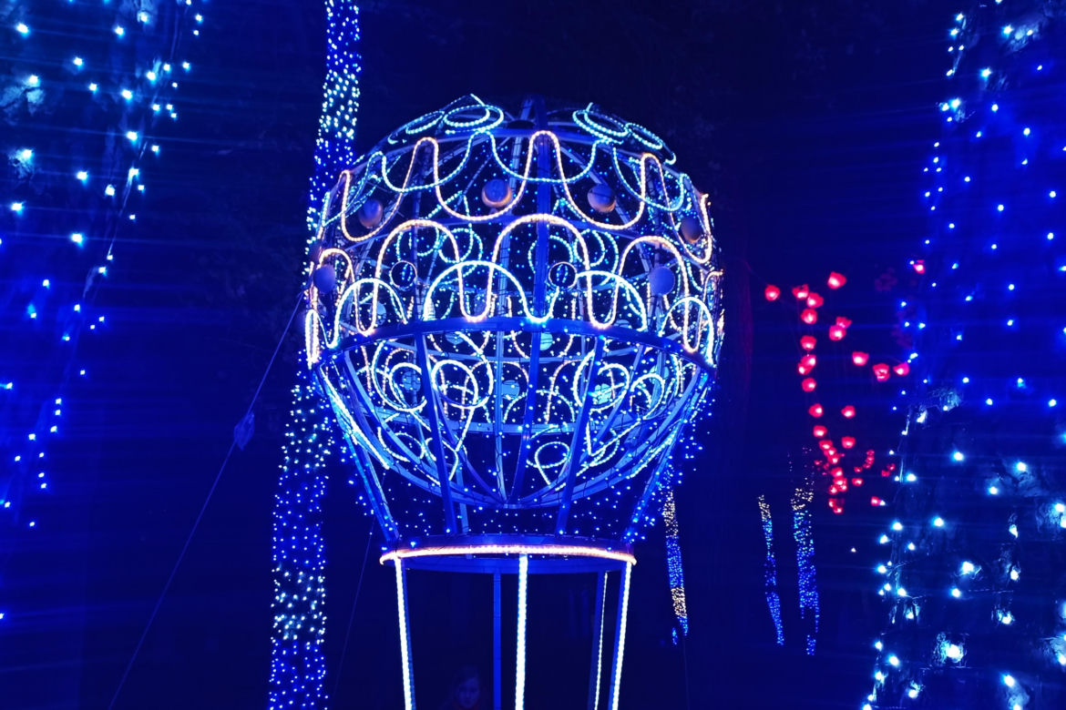 Garden of Lights w Szczecinie