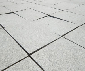 Łódź: Policjanci zniszczyli park Stanisława Moniuszki. Niedawno był tam remont!