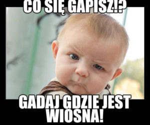 Dzień Wagarowicza 2020. Zobacz śmieszne MEMY na pierwszy dzień wiosny