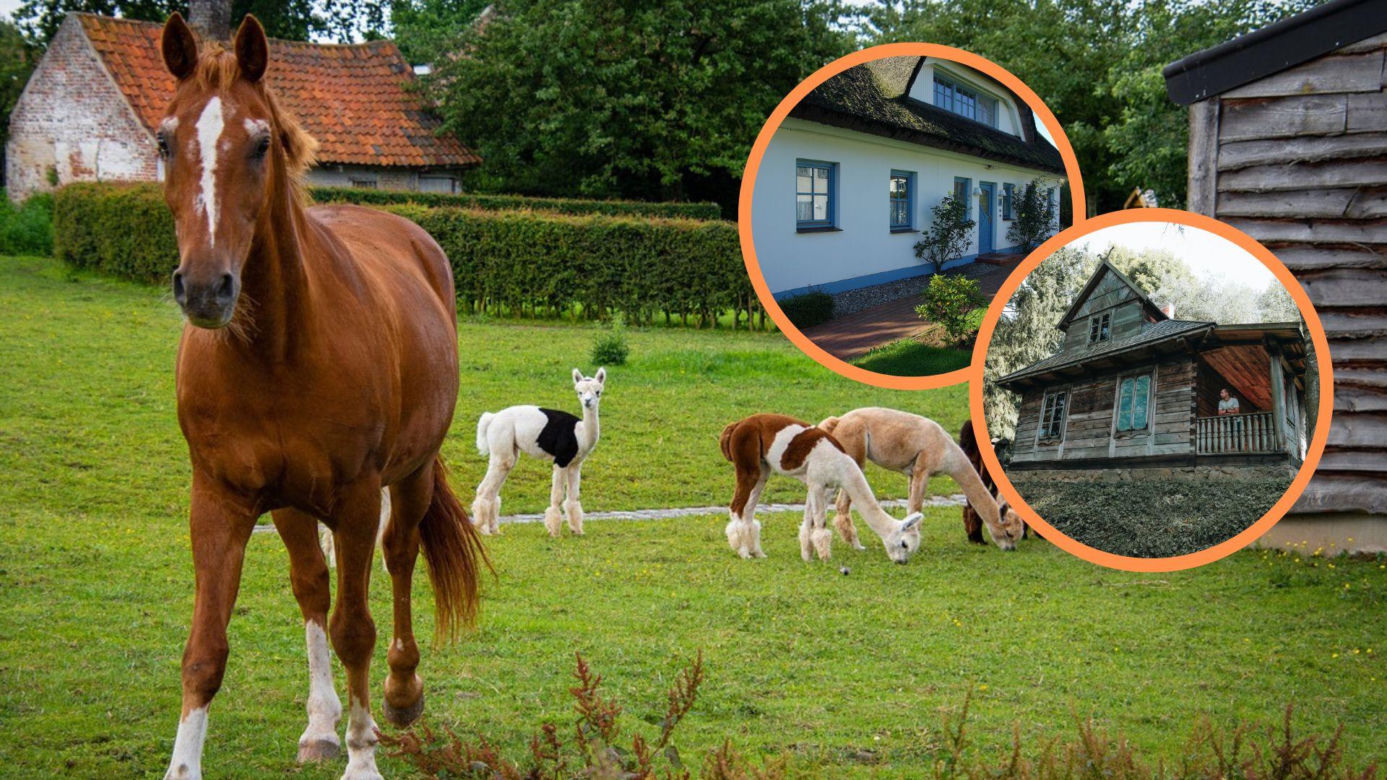 Najlepsze miejsca z agroturystyką na Dolnym Śląsku. TOP 10 miejsc, które warto odwiedzić 