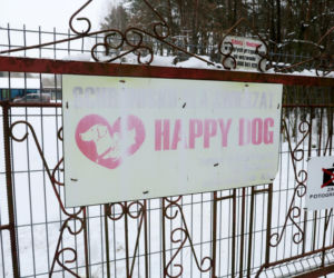 „Maszynka do mielenia mięsa i pałki z krwią”. Kulisy zamknięcia schroniska „Happy Dog”. Co dalej?
