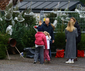 Donald Tusk z zięciem dźwigają gigantyczną choinkę. A za nimi drepcze Kasia z drugą. Wnusie premiera jak księżniczki