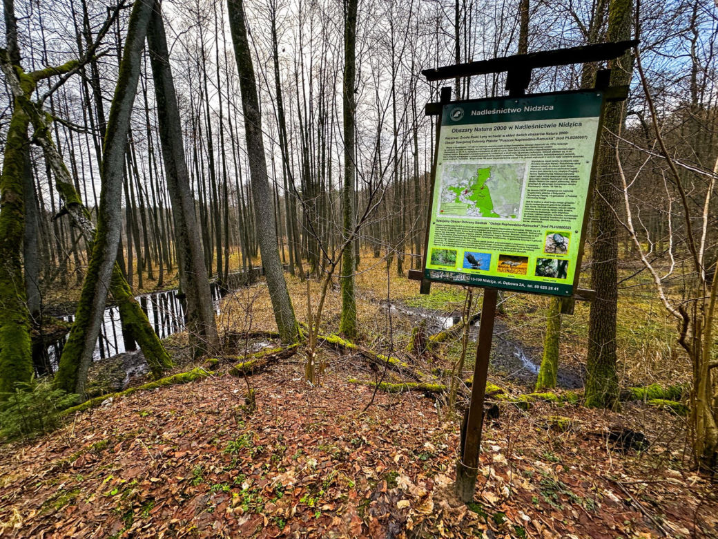 Rzeka Łyna