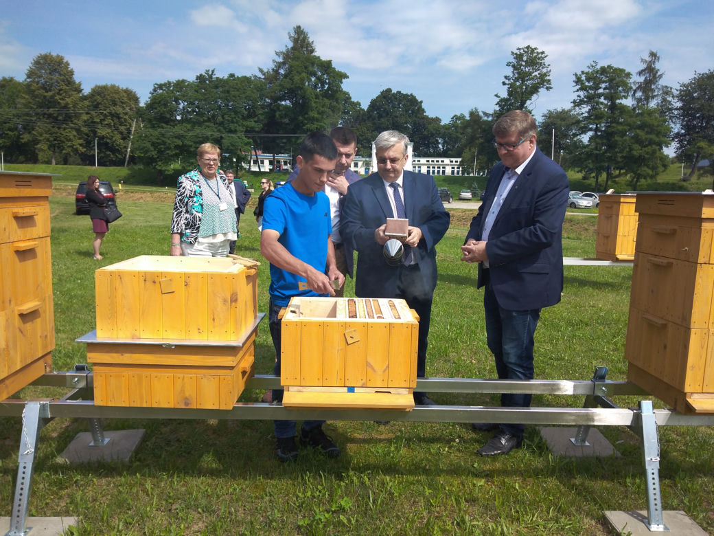 Pół miliona pszczół zamieszkało na terenie ujęcia wody MPWiK w Zwięczycy