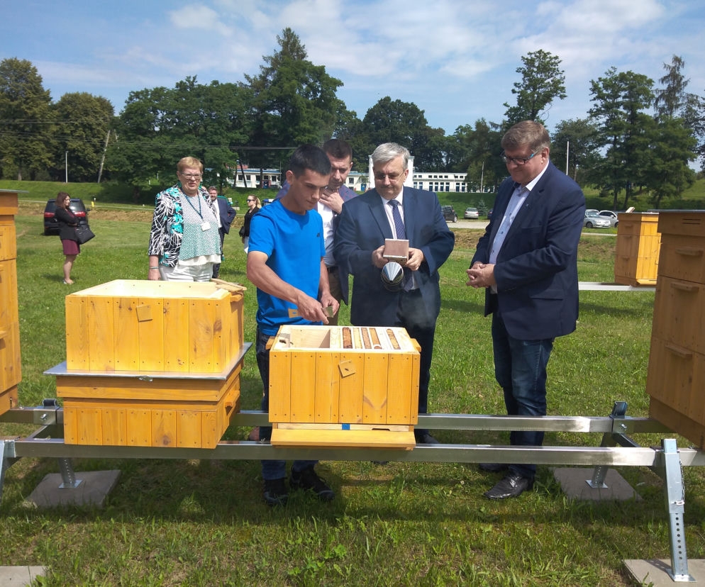 Pół miliona pszczół zamieszkało na terenie ujęcia wody MPWiK w Zwięczycy