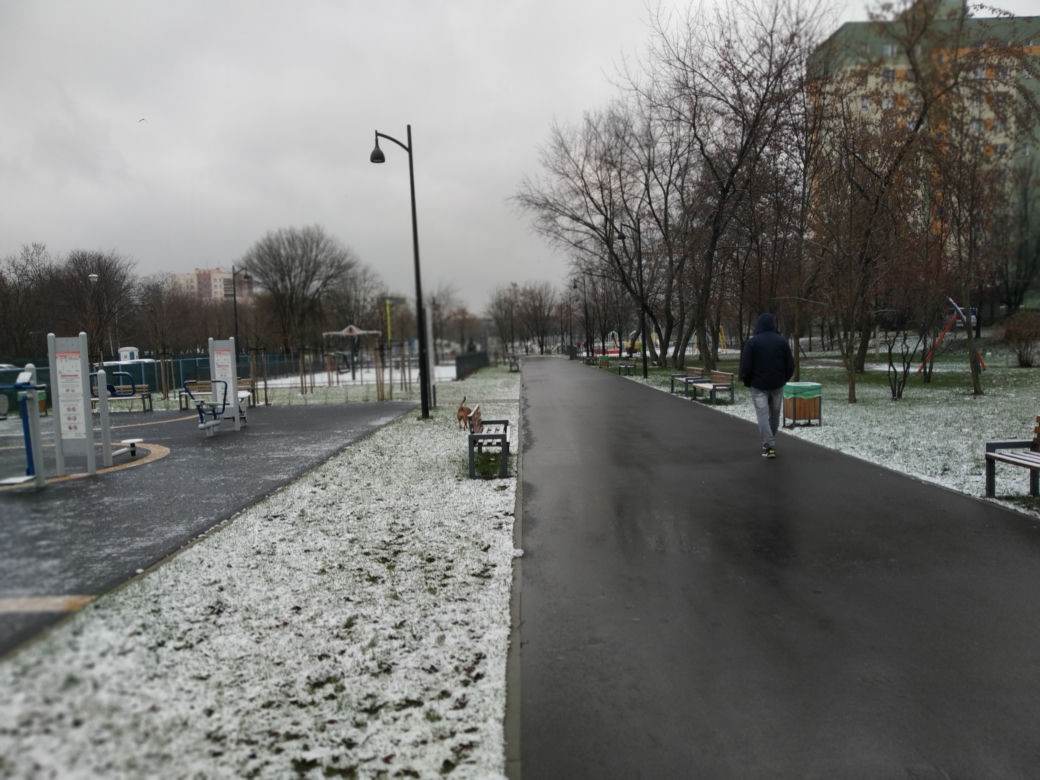 Pierwszy śnieg w Radomiu! Zobacz, jak rano wyglądało miasto