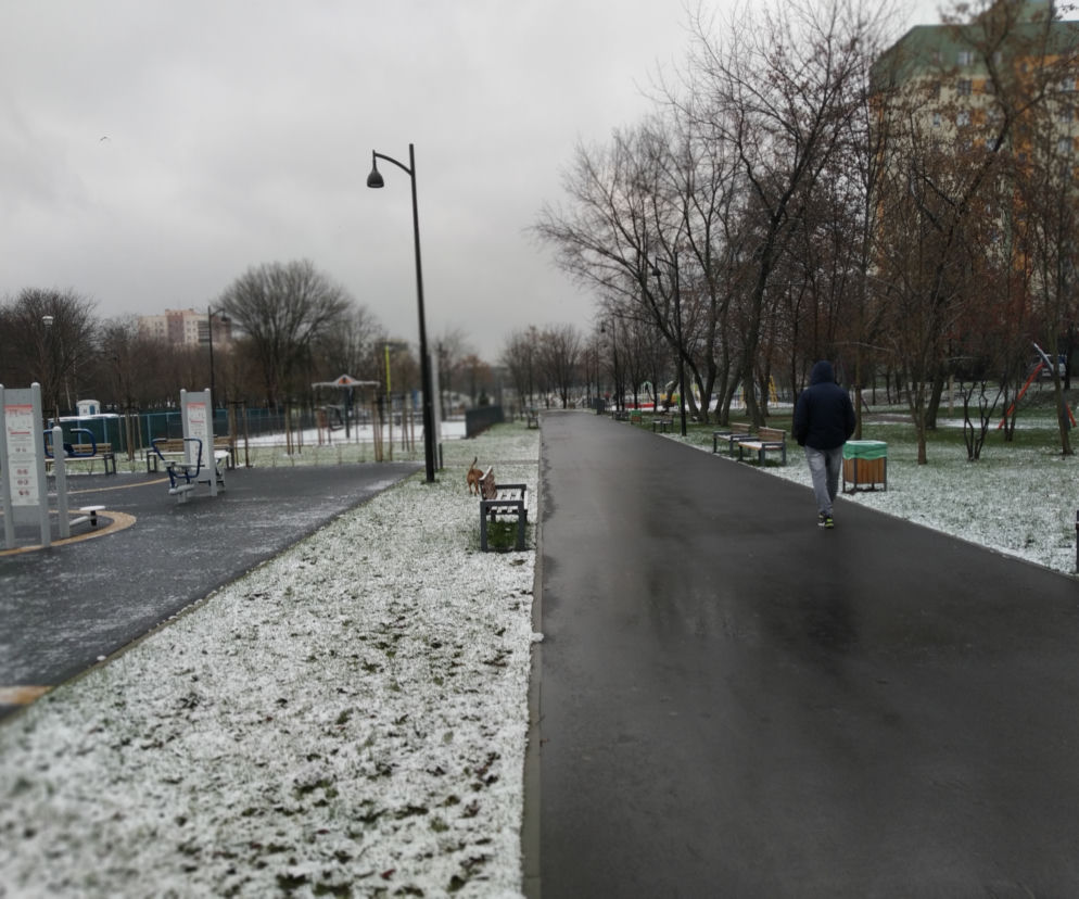 Pierwszy śnieg w Radomiu! Zobacz, jak rano wyglądało miasto