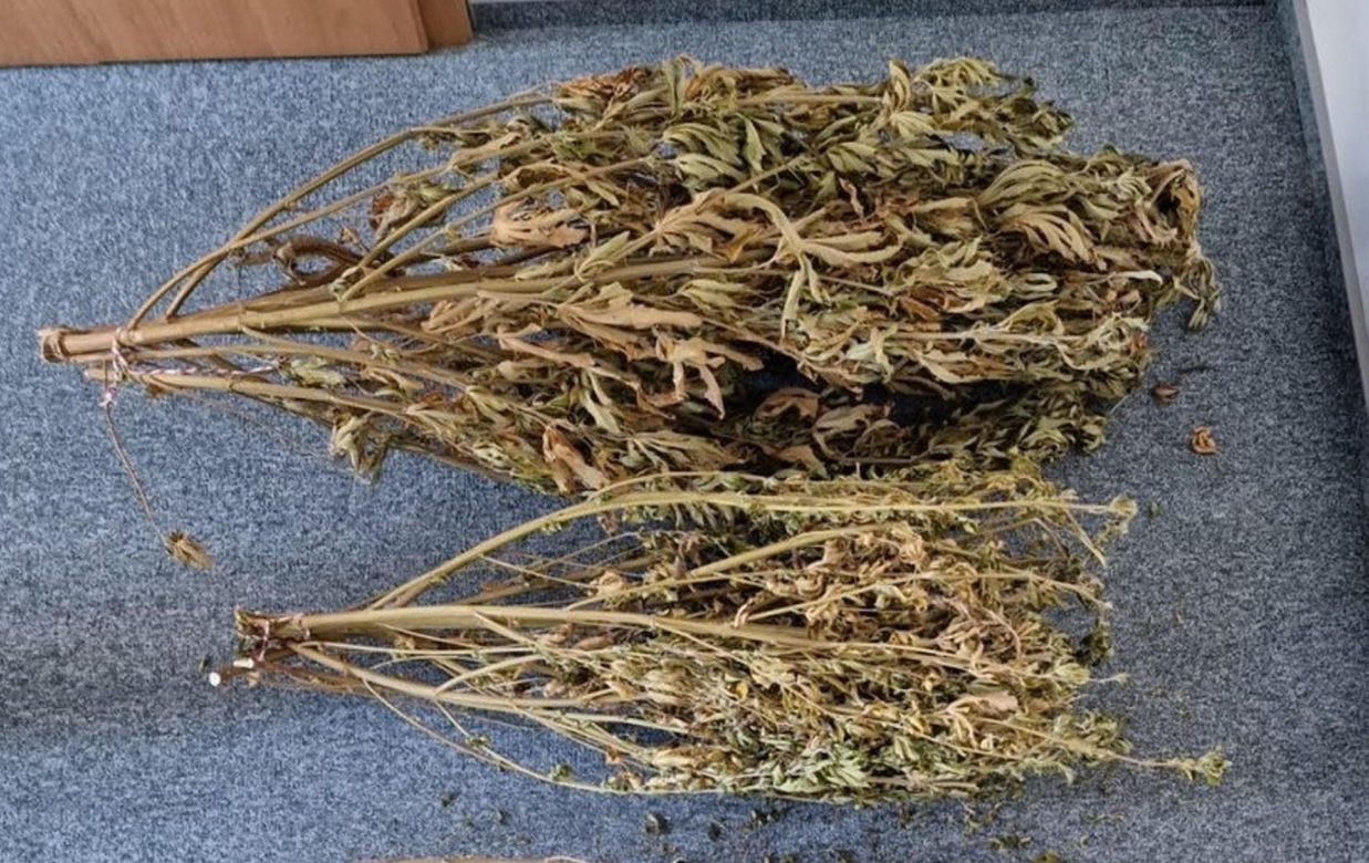 Marihuana czy nie? Internet rozbawiony wpisem policjantów z Sejn [ZDJĘCIA]
