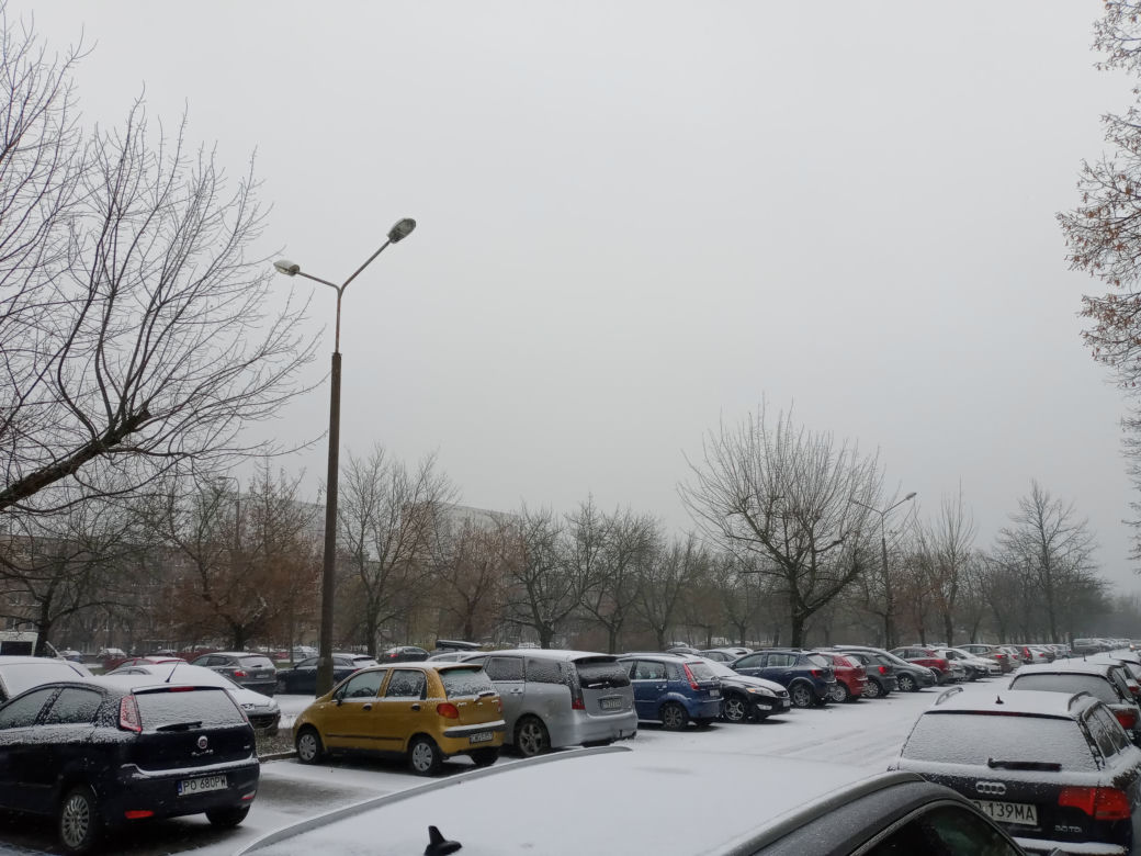 Spadł pierwszy śnieg! Zobacz jak wyglądają ulice Poznania