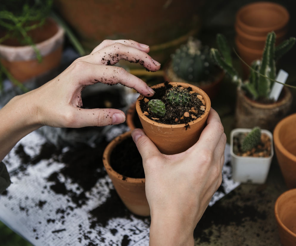 Ruszają Targi GARDENIA 2019!