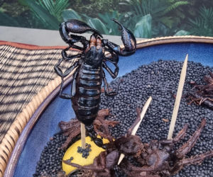 Królowe przetrwania reagują na pierwszy odcinek. Śmiech, łzy i marsowe miny