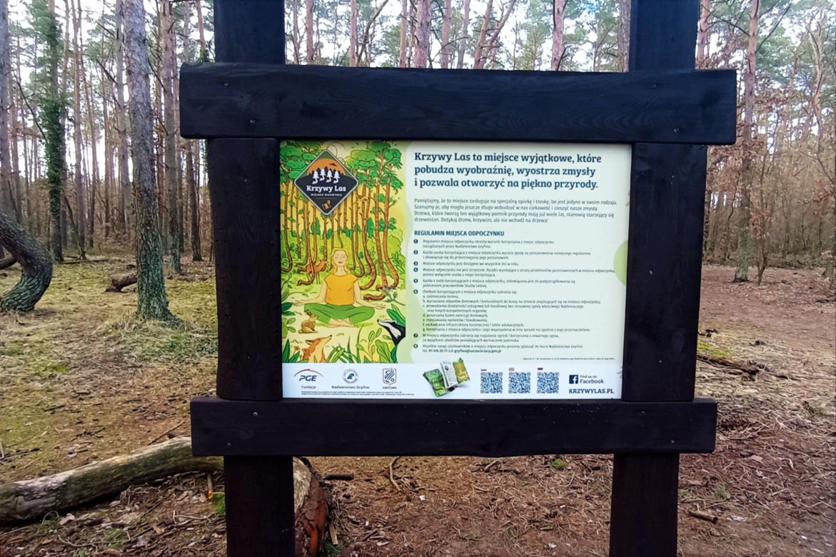 Krzywy Las pod Gryfinem