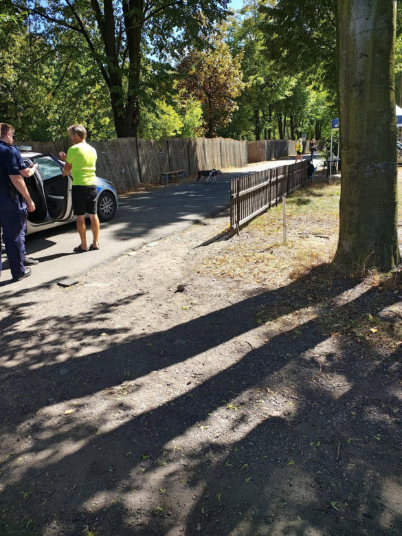 Agresywne psy atakują w dzielnicy Kamień