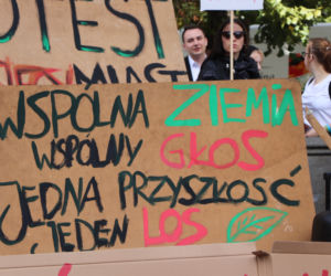Młodzieżowy Strajk Klimatyczny w Toruniu. Protestowali przeciwko rządowi i korporacjom