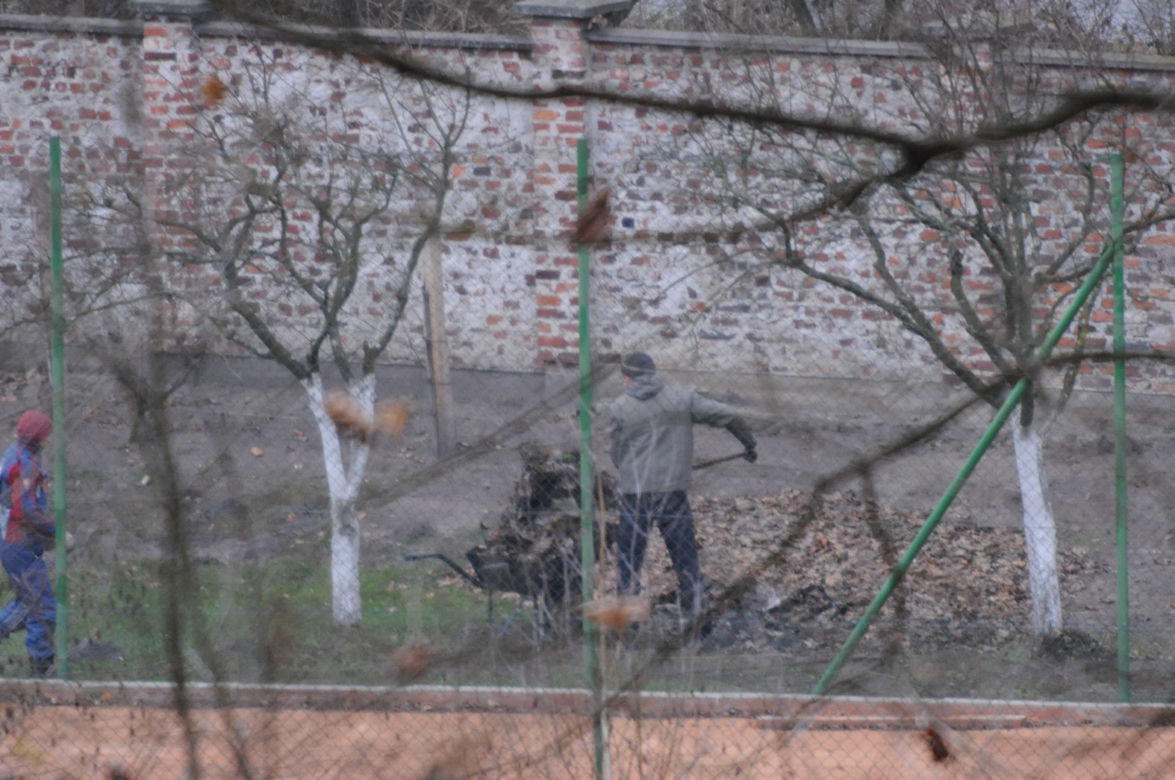 Posprzątali Sikorskiemu wieś