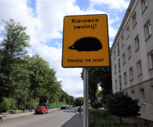 Nie rozJEŻdżaj! W Chorzowie pojawiły się nietypowe znaki [ZDJĘCIA, WIDEO]
