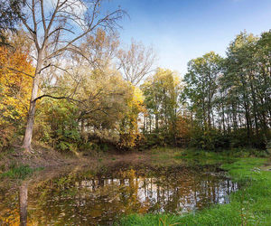 Najlepsza gmina do życia w woj. śląskim - Świętochłowice