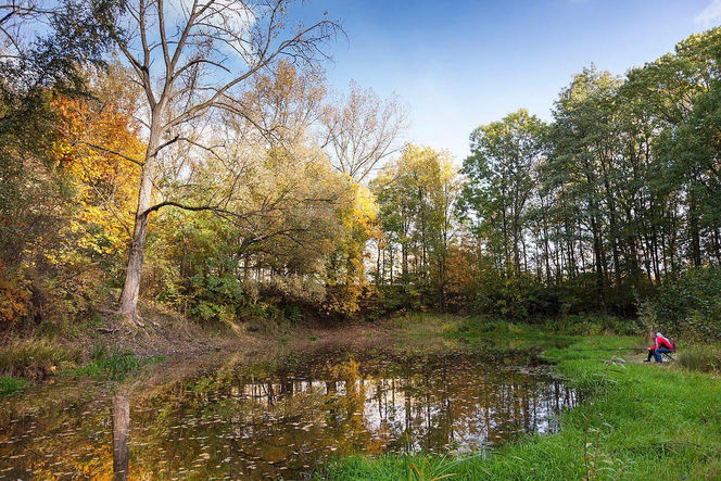Najlepsza gmina do życia w woj. śląskim - Świętochłowice