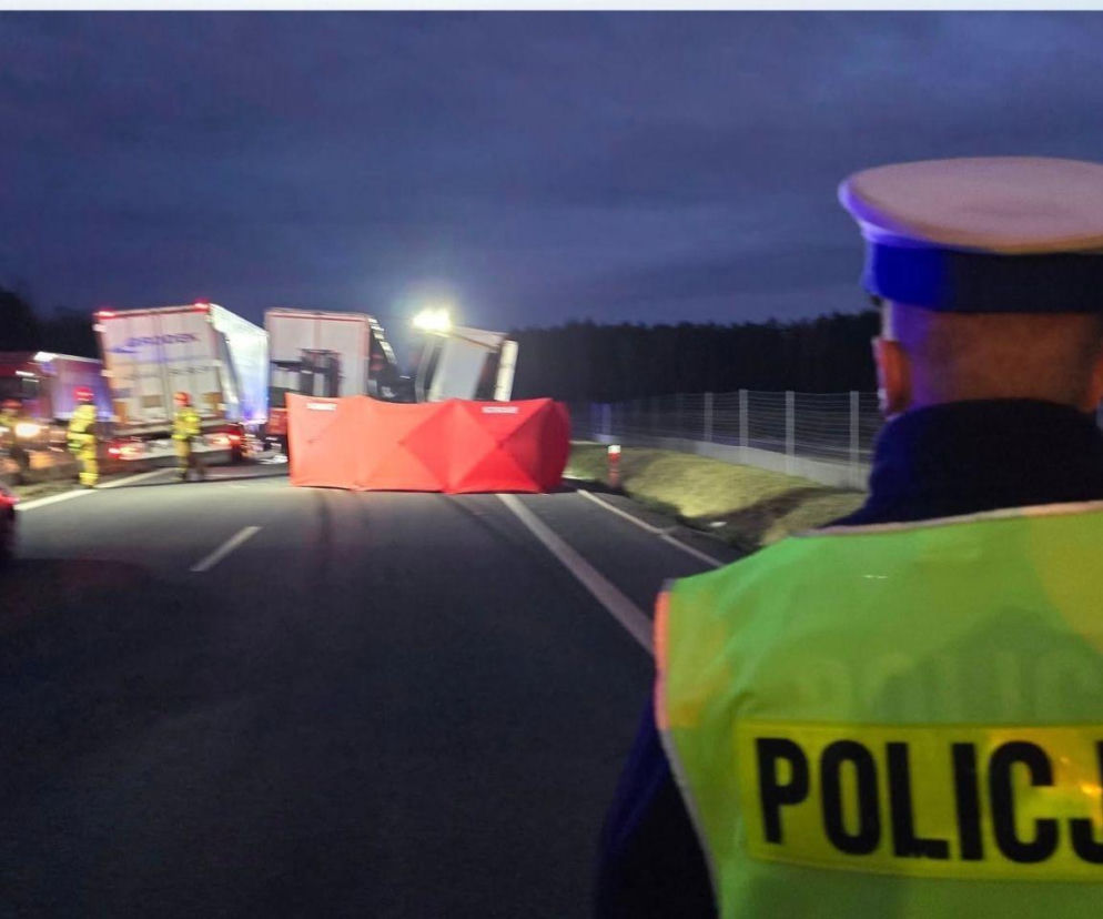 Śmierć na poboczu drogi. Ciężarówka wpadła w stojący pojazd