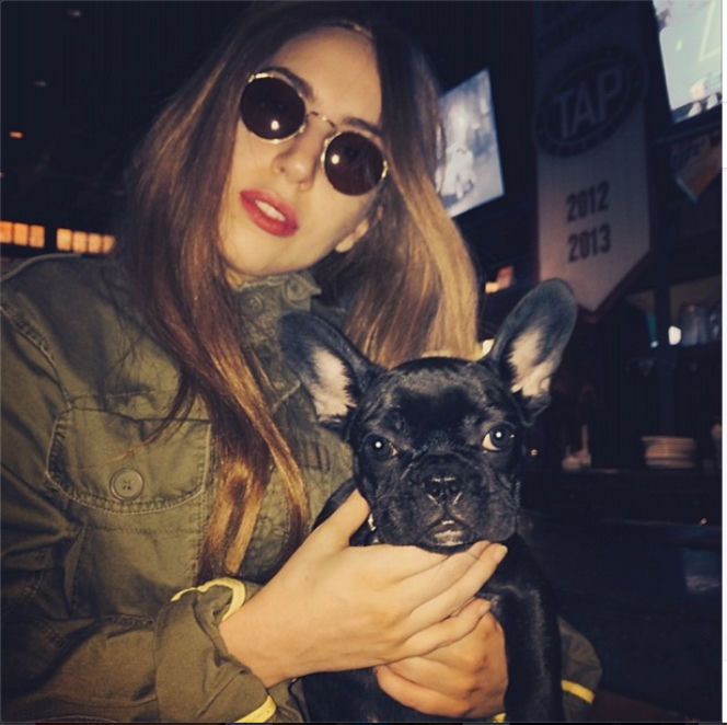 Lady Gaga przesadza w miłości do psa.