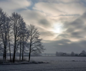 Puławy zamarzną 19.11.2025! Czy to początek piekielnej zimy?