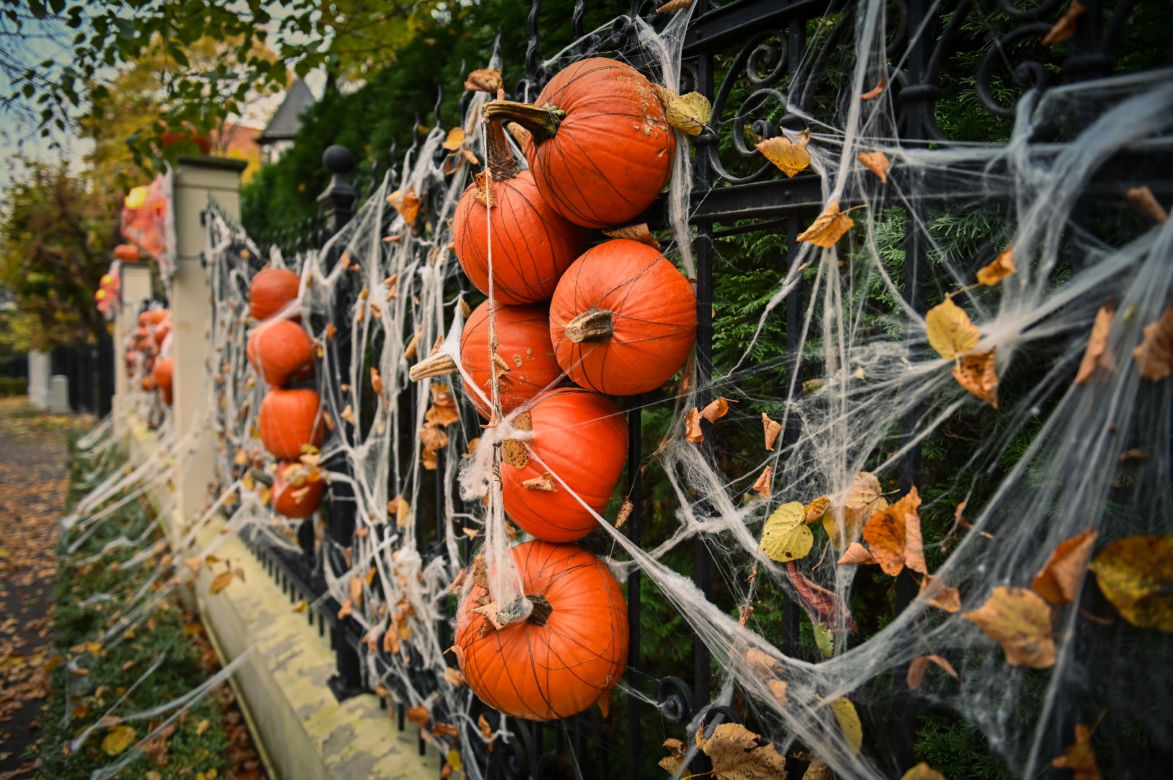 Gdańsk: Dom jak z horroru. Udekorowali budynek na helloween [ZDJĘCIA]
