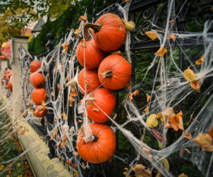 Gdańsk: Dom jak z horroru. Udekorowali budynek na helloween [ZDJĘCIA]