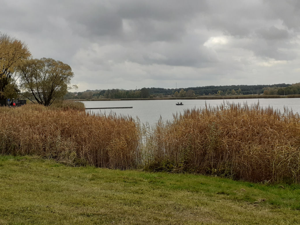 Jesienne porządki nad zalewem Muchawka w Siedlcach w 2021 roku