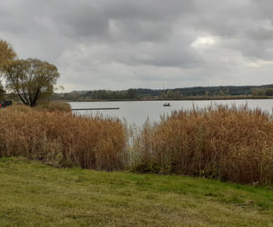 Jesienne porządki nad zalewem Muchawka w Siedlcach w 2021 roku