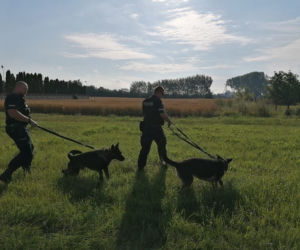 Łódzkie: Poszukiwano go prze kilka dni, ale ON JUŻ NIE ŻYŁ. Policja zatrzymała jego kolegę. Co się stało w Żychlinie?