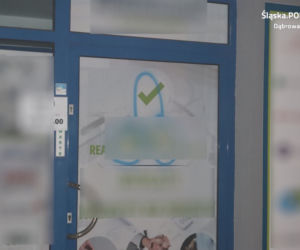 Dąbrowa Gornicza. Wandale zniszczyli elewację i samochody [ZDJĘCIA]