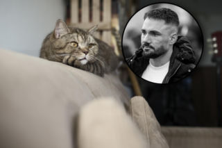 Miłośnicy kotów żegnają „człowieka, który rozświetlał smutki”. Śmierć posła Litewki wstrząsnęła całą Polską