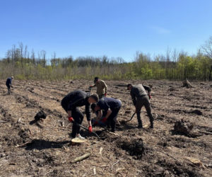 Siedleccy policjanci zasadzili drzewa w Golicach w ramach akcji „Plant a Tree – Green IPA Project”