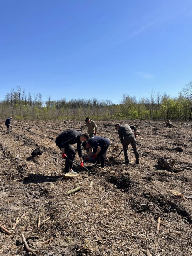 Siedleccy policjanci zasadzili drzewa w Golicach w ramach akcji „Plant a Tree – Green IPA Project”