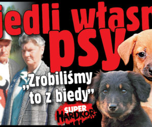 Zjedli własne psy