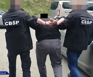 CBŚP rozbiło gang: zlikwidowało laboratoria, plantacje marihuany, skonfiskowało blisko 80 kg amfetaminy, przejęło nieruchomości, samochody, pieniądze.
