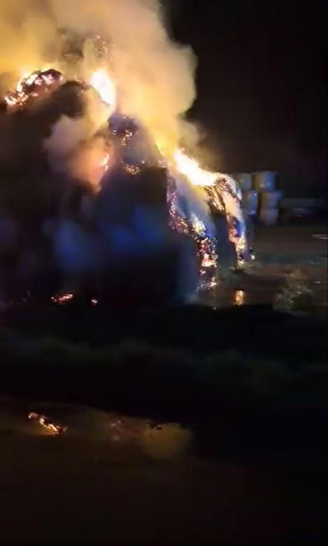W ogniu spłonął cały zapas jedzenia dla zwierząt z przytuliska. Tragiczna sytuacja zwierząt poruszyła serca ludzi