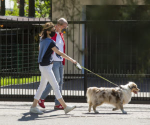 Michał Kamiński z żoną Anną oraz psem, owczarkiem australijskim