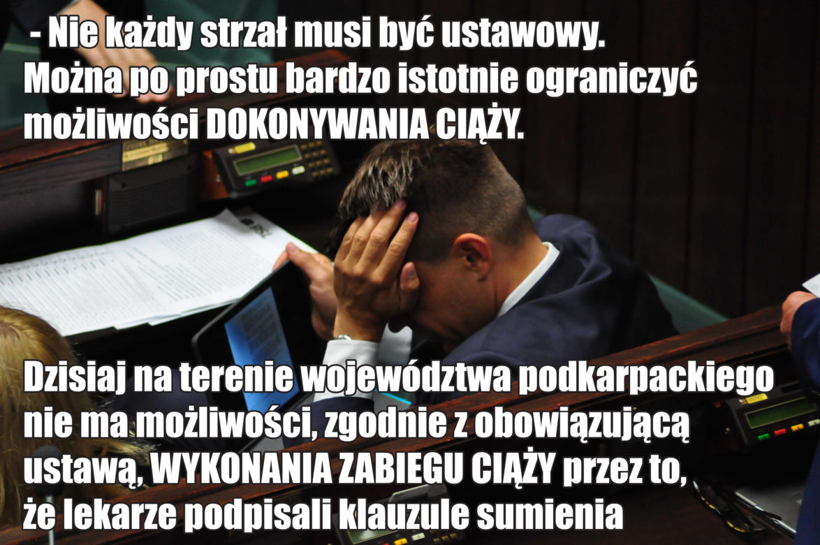 Wpadki językowe Ryszarda Petru