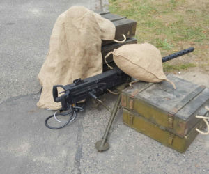 VIII Piknik Militarny przy zamku SIMP w Rydzynie
