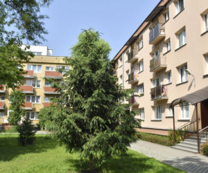 Zboczeniec zaatakował mi dziecko! Relacja poruszonej matki