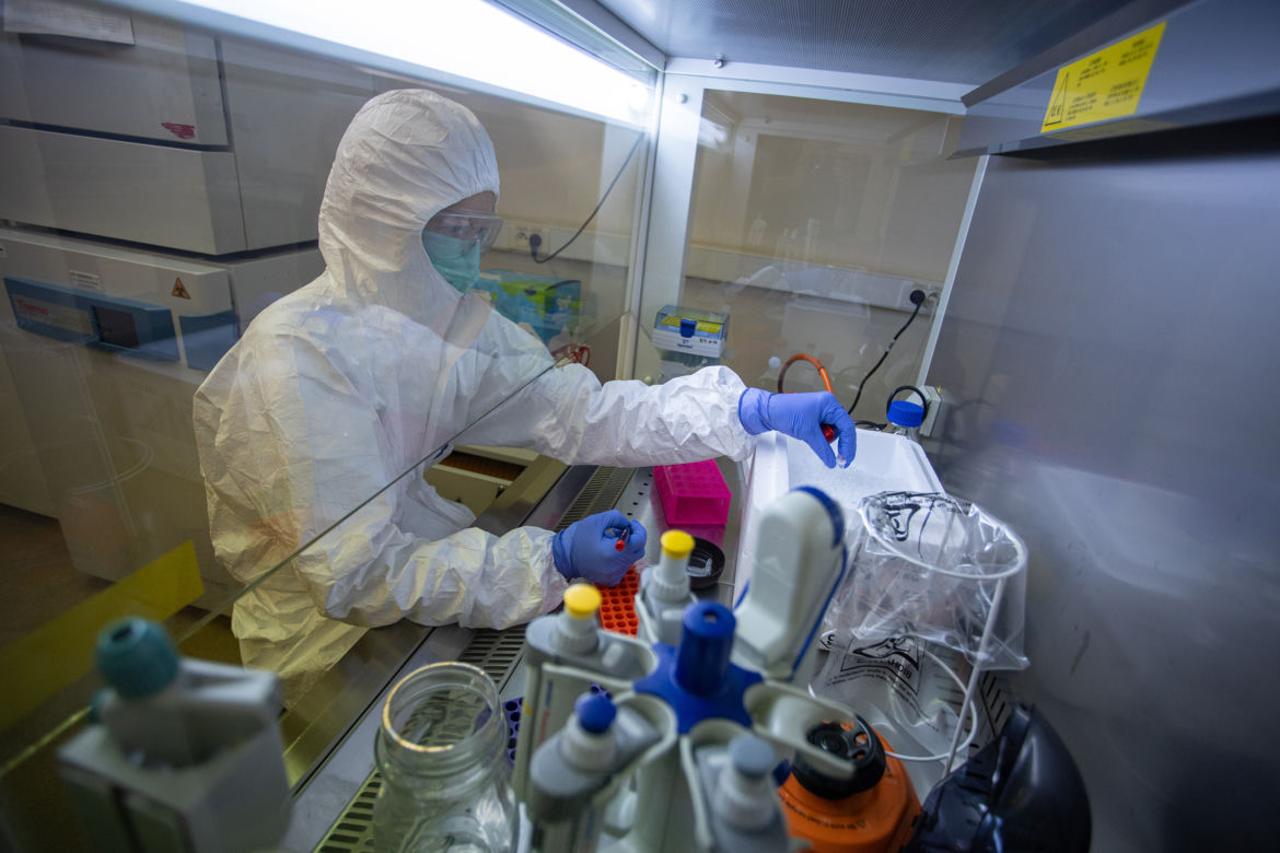 Mamy polski test na wirusa