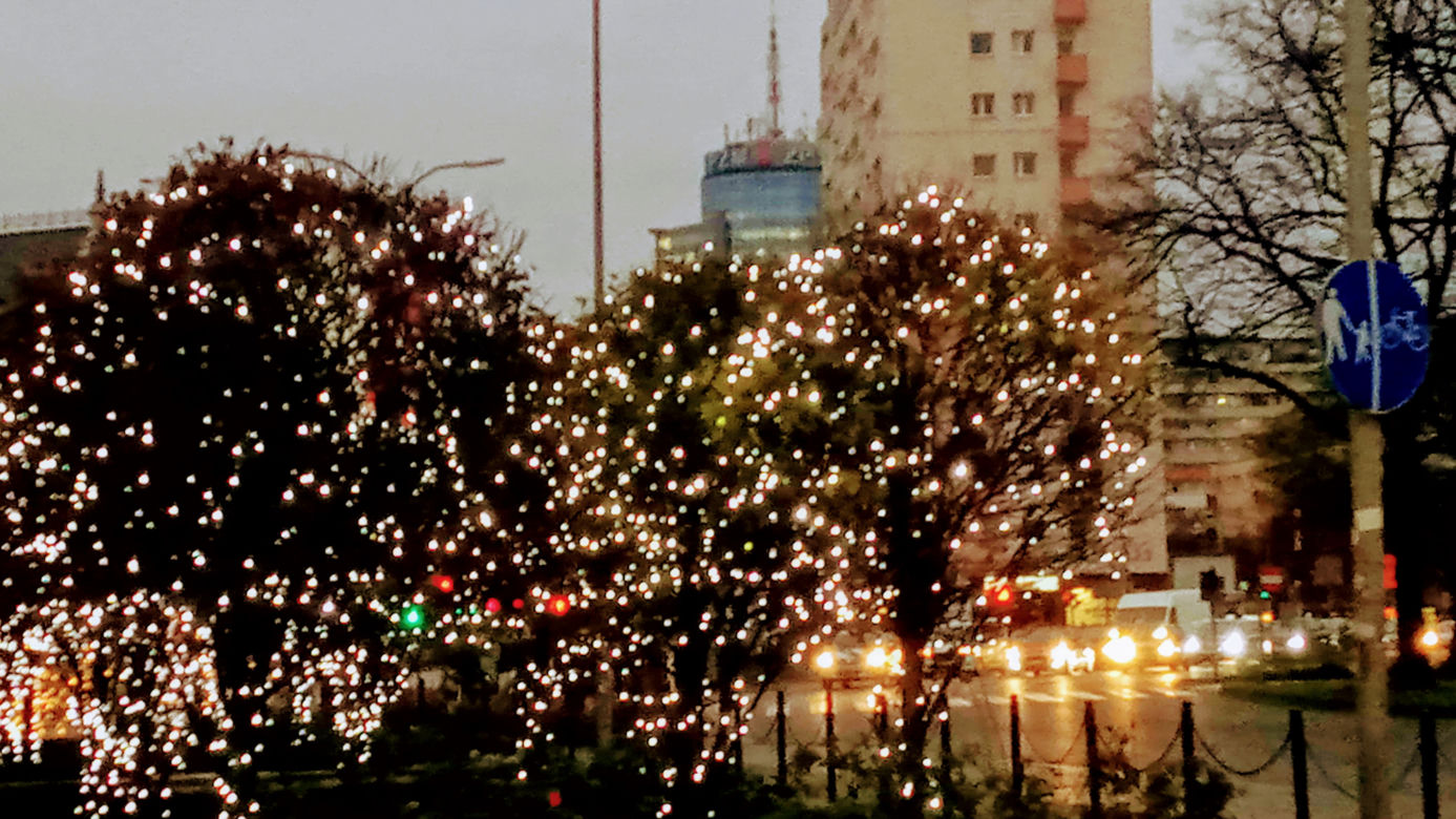 Iluminacje świąteczne w Szczecinie