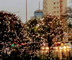 Iluminacje świąteczne w Szczecinie