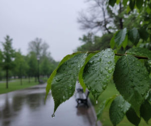 Weekend w Bydgoszczy przyniesie deszcz. Pogoda da jednak odetchnąć w jeden dzień