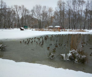 Śnieg zasypał Tarnów, teraz czas na mróz. Będzie PRZEŹLIWIE zimno