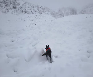Śmierć turysty w Tatrach
